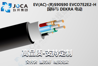 国标与 DEKRA 电动